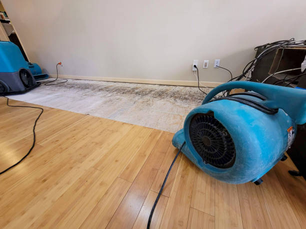 Professional Flood Damage Cleanup technician working in Hilmar, CA